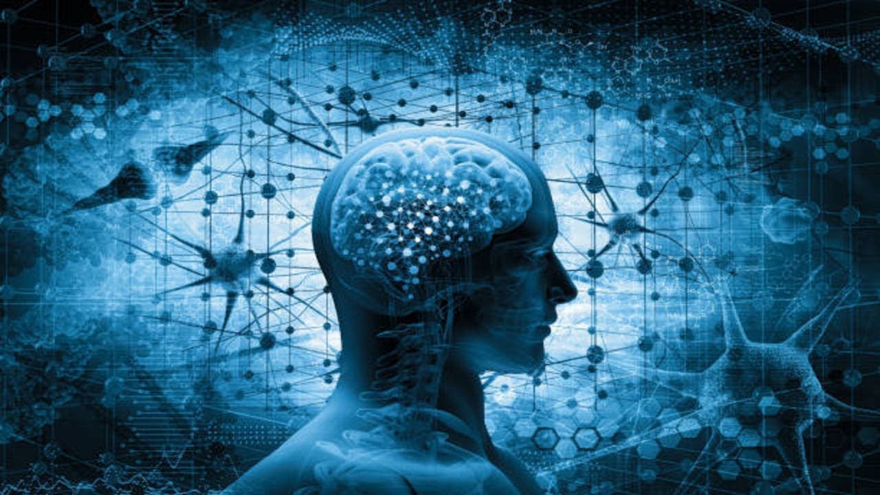 The Human Mind