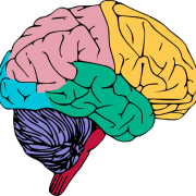 🧠 Human Psychology Digest: Top Psychology Reads This Month