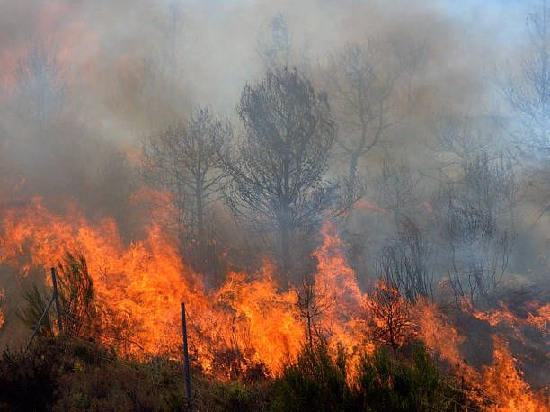 Talking to Kids About Wildfires