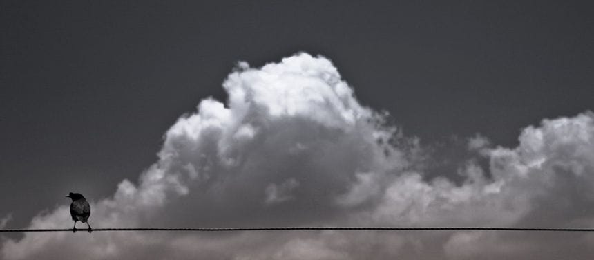 Unlocking the Power of Solitude: 20 Life Lessons You Can't Afford to Ignore