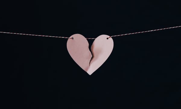 💔 When Love Was a Lie: Escaping the Soul-Breaking Cycle of a Narcissist's Illusion