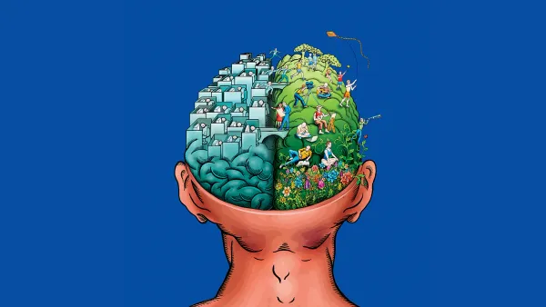 The Empathy Paradox: Why Your Brain Is Wired to Break, and Break Open the World